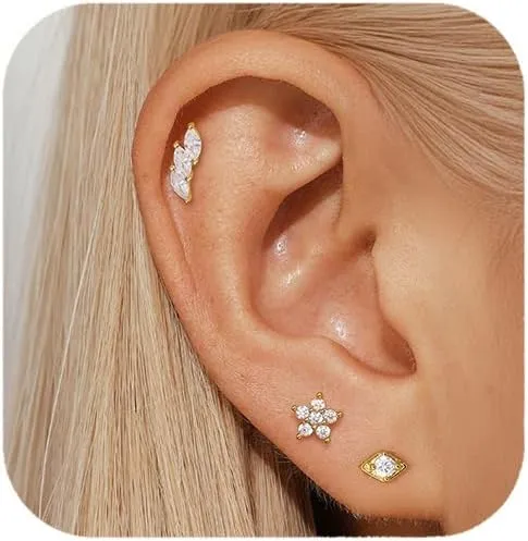14k Gold Stud Earrings For Women, Earring Stacks Gold Earrings Stud Set, Hypoallergenic Crawler Earrings Set 925 Sterling Silver,Trendy Zirconia Stud Earrings For Women